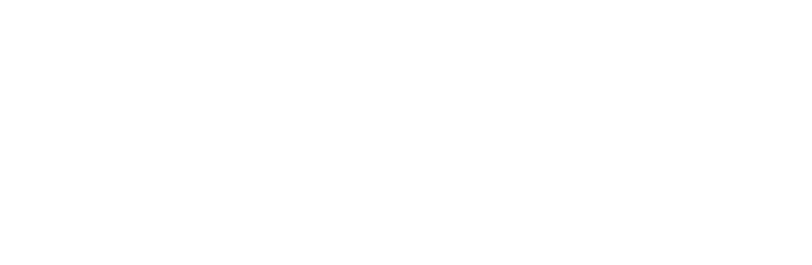 People First Systems, Inc.