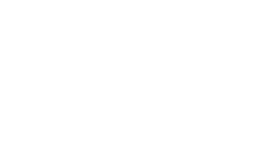 People First Systems, Inc.